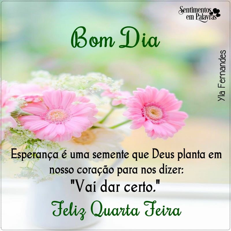 Deus é Maravilhoso - Quarta feira 1 de Agosto de 2018 Bom dia