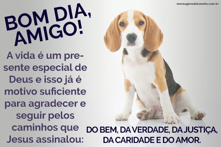 Amigo! A vida é um presente