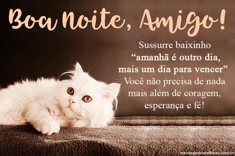 Boa noite, Amigo! Amanhã é outro dia