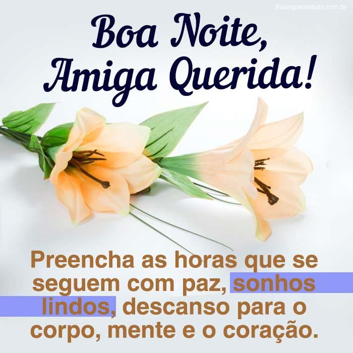 Boa Noite, Amiga Querida!