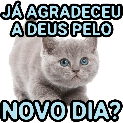 Já agradeceu a Deus pelo novo dia?