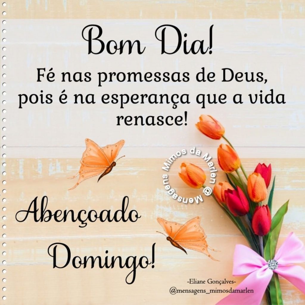 Bom Dia! Fé nas promessas de Deus.  Abençoado Domingo.