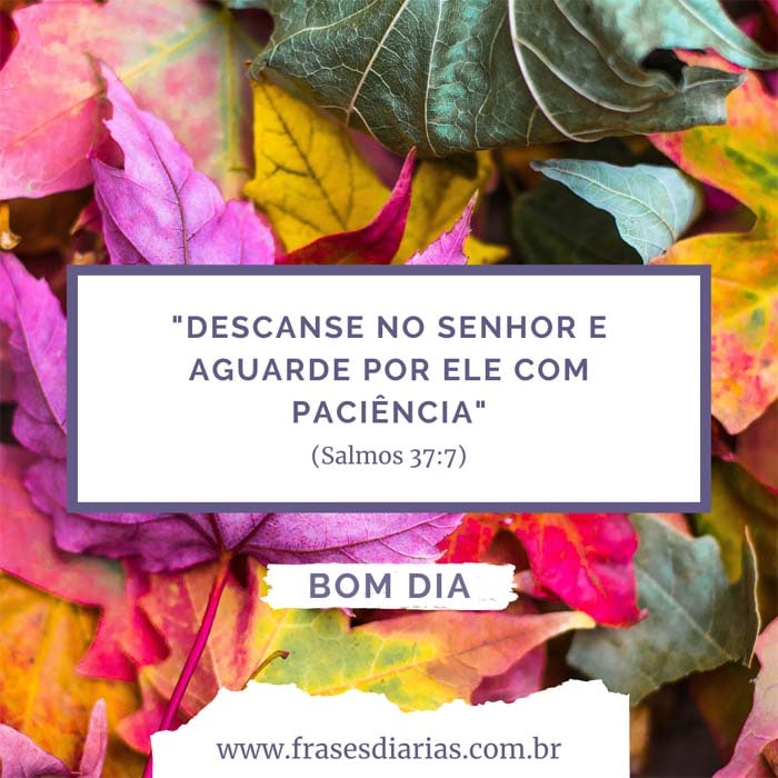 Salmos 37:7 - Descanse no Senhor e aguarde por Ele com paciência