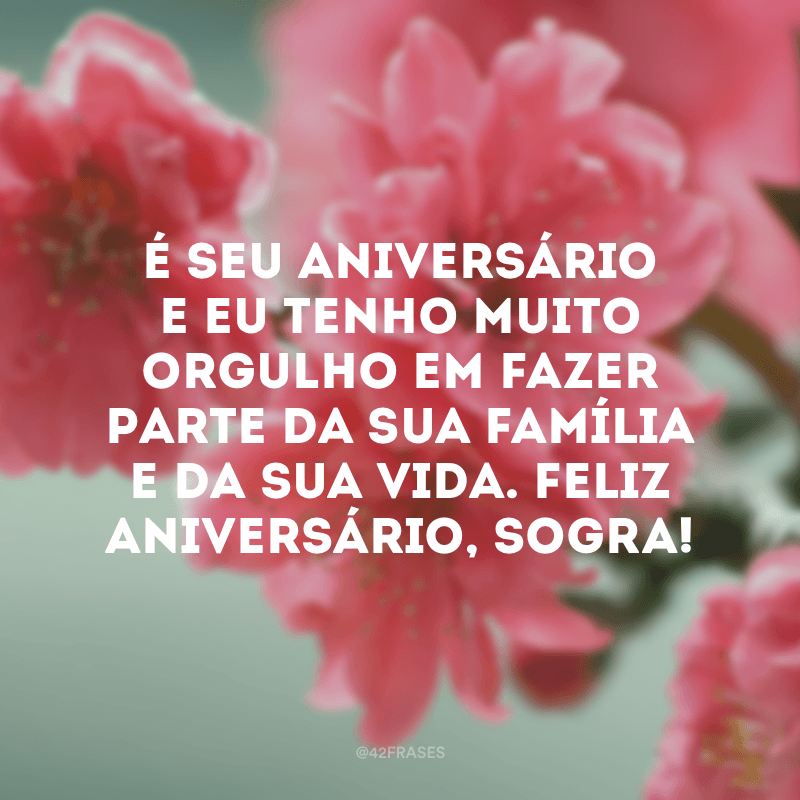 Feliz Aniversário, Sogra! Orgulho em fazer parte da sua família