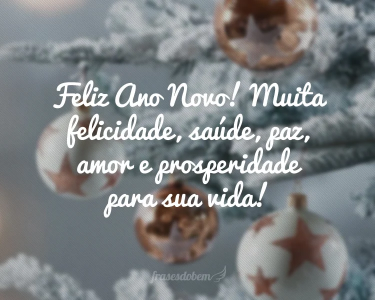 Feliz Ano Novo! Muita felicidade, saúde, paz, amor