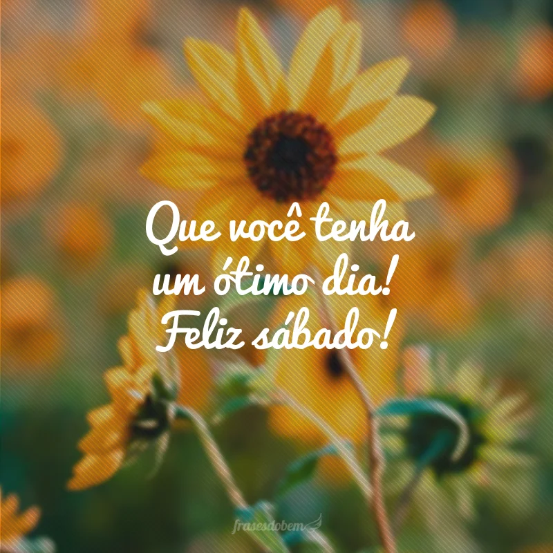 Que você tenha um ótimo dia! Feliz sábado!