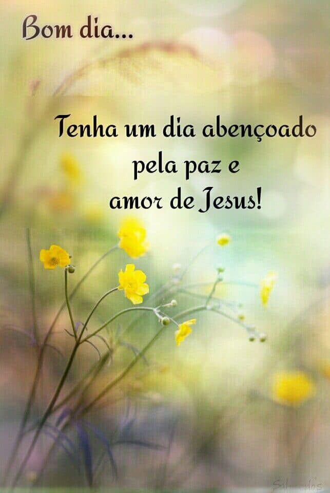 Tenha um dia abençoado pela paz e amor de Jesus