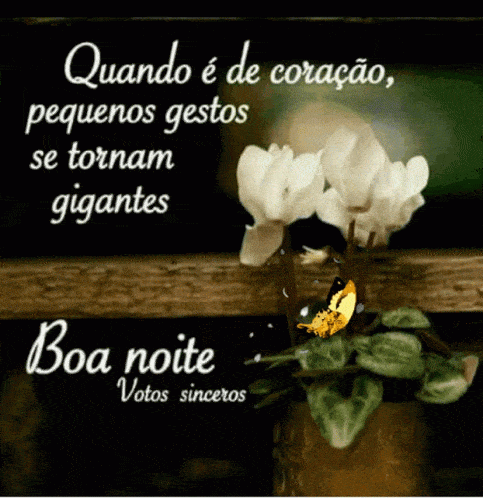 Featured image of post Gifs De Boa Noite Carinhoso gifs de boa noite