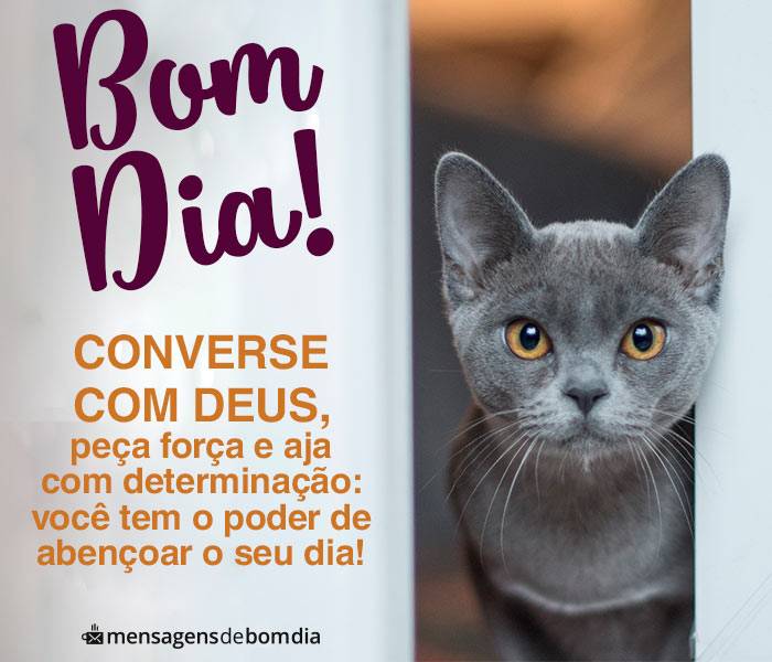 bom dia converse com Deus peça força