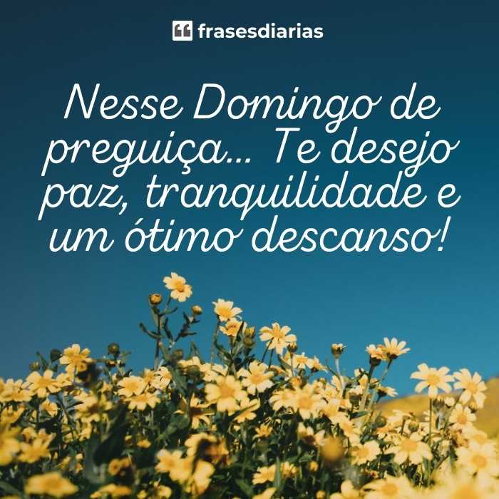 nesse Domingo te desejo paz e um ótimo descanso