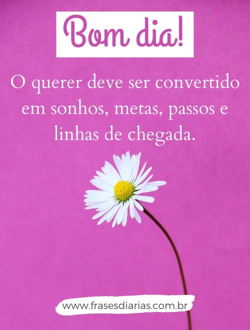 bom dia com motivação o querer deve ser convertido em sonhos