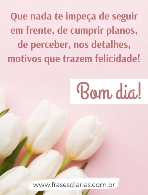 bom dia de motivação que nada te impeça de seguir em frente