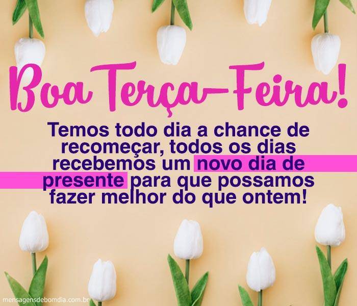 boa terça feira temos todo dia a chance de recomeçar