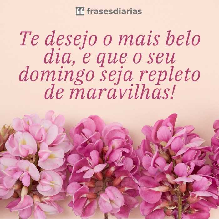 mensagem de bom dia domingo de maravilhas