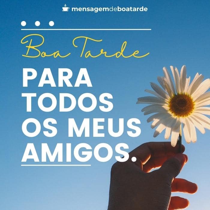 boa tarde meus amigos